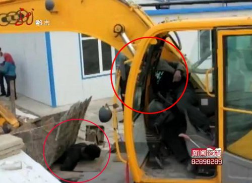 老人抗强拆被挖掘机拍死，司机瞭望遭报应被夹死