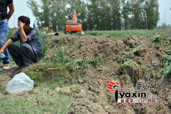 村民未签补偿协议4万树苗被拔 官方称挖错