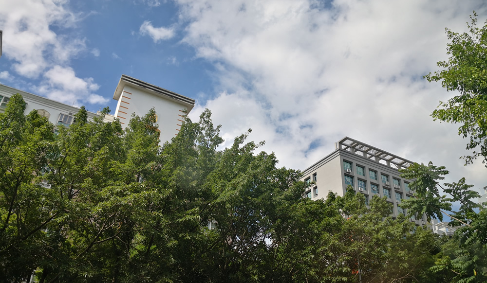 商品房买卖合同解除后预告登记即失效，法院判决支持开发商申请排除强制执行