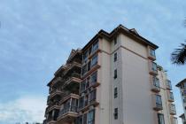 售后包租视为占有，足以排除强制执行