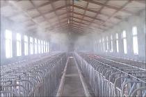 违章建筑拆除过程中无可避免受到部分损毁，故对违法建筑的建筑材料要求赔偿诉请驳回