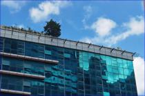 未在约定期限内办理房产证，出卖人应如何承担违约责任