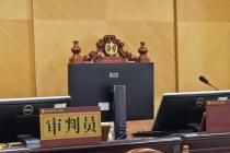 催告履行期限内作出强制拆除决定，侵害自行拆除降低损失之权利违法