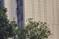 为子女购买房屋多年后欠债，债权人无权申请执行该房屋