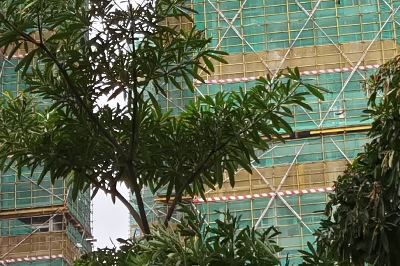 一审反诉时并未要求承担质量维修责任，二审请求扣除质量维修费法院不予认可