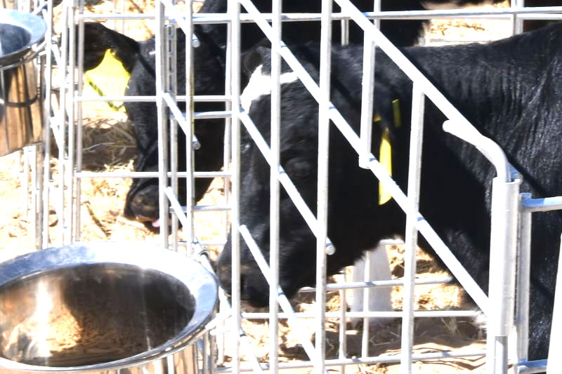 认定建筑为违法建设，应注意信赖利益保护